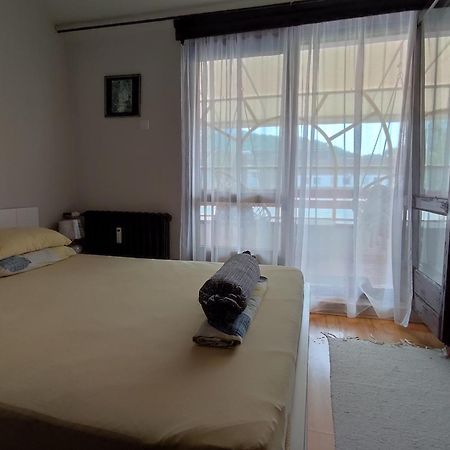 Vila Zora Apartman Banja Koviljača Exteriér fotografie