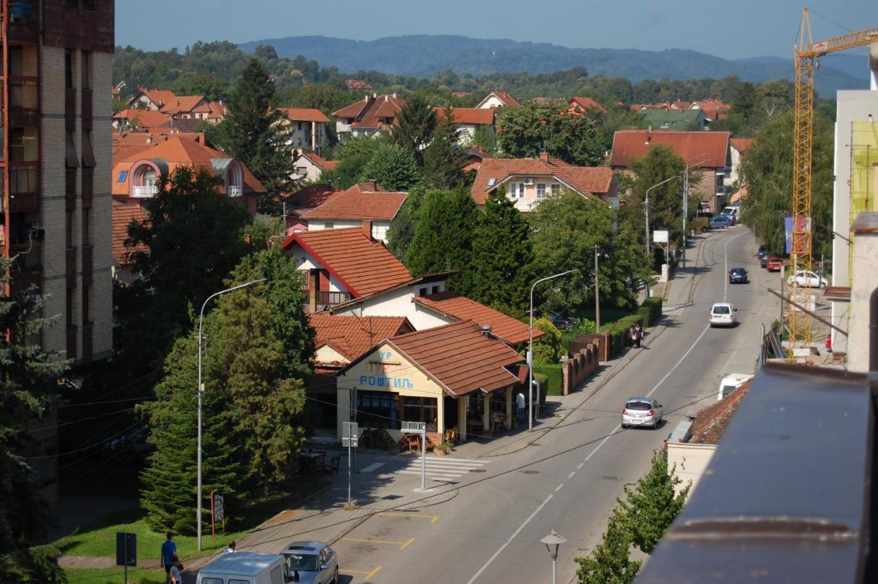 Vila Zora Apartman Banja Koviljača Exteriér fotografie