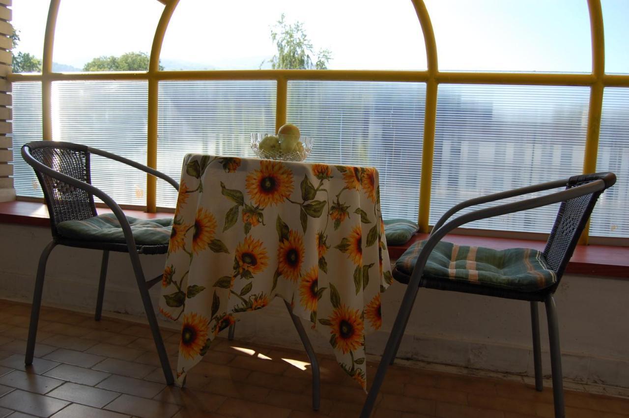 Vila Zora Apartman Banja Koviljača Exteriér fotografie