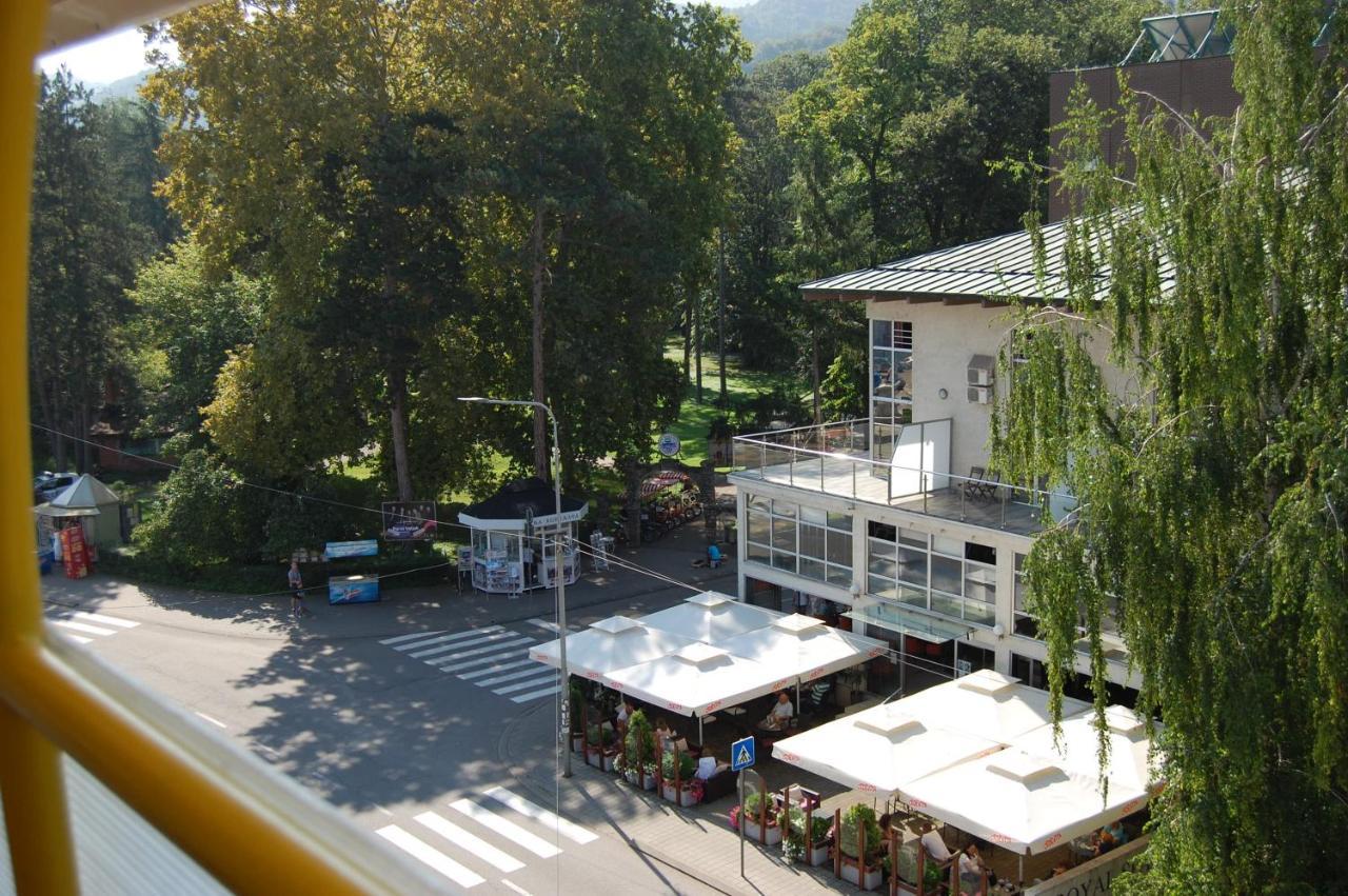 Vila Zora Apartman Banja Koviljača Exteriér fotografie