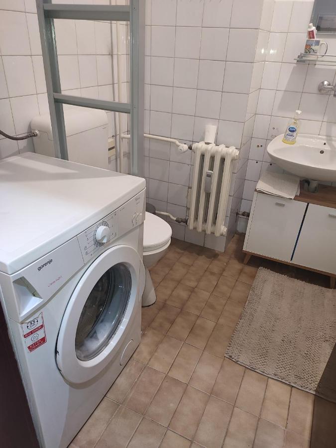 Vila Zora Apartman Banja Koviljača Exteriér fotografie