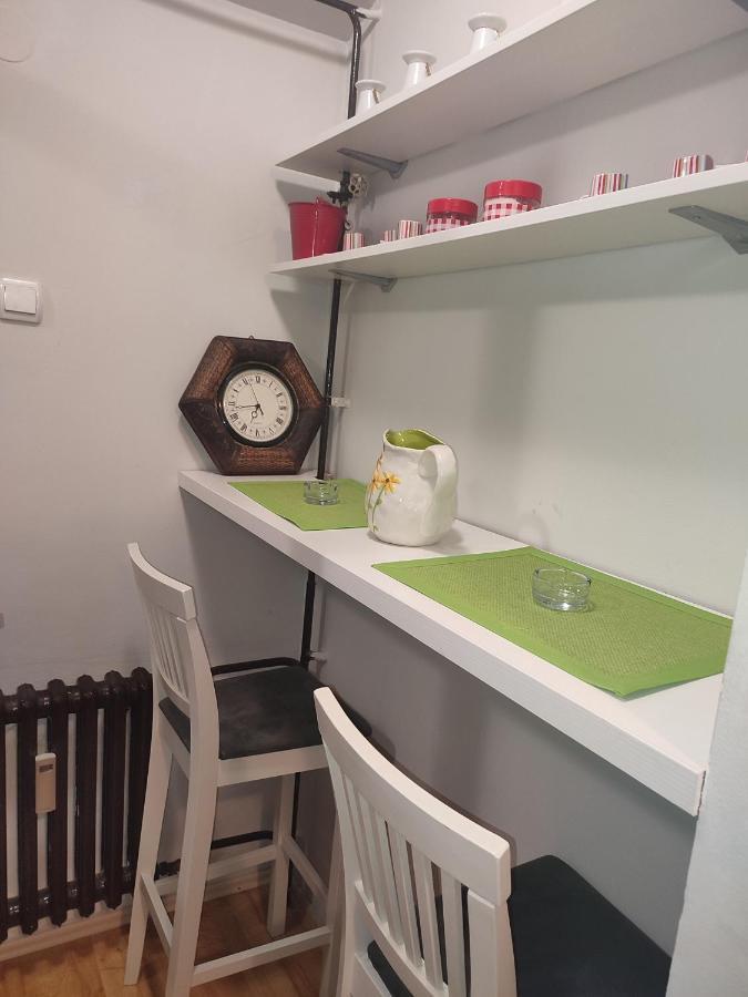 Vila Zora Apartman Banja Koviljača Exteriér fotografie