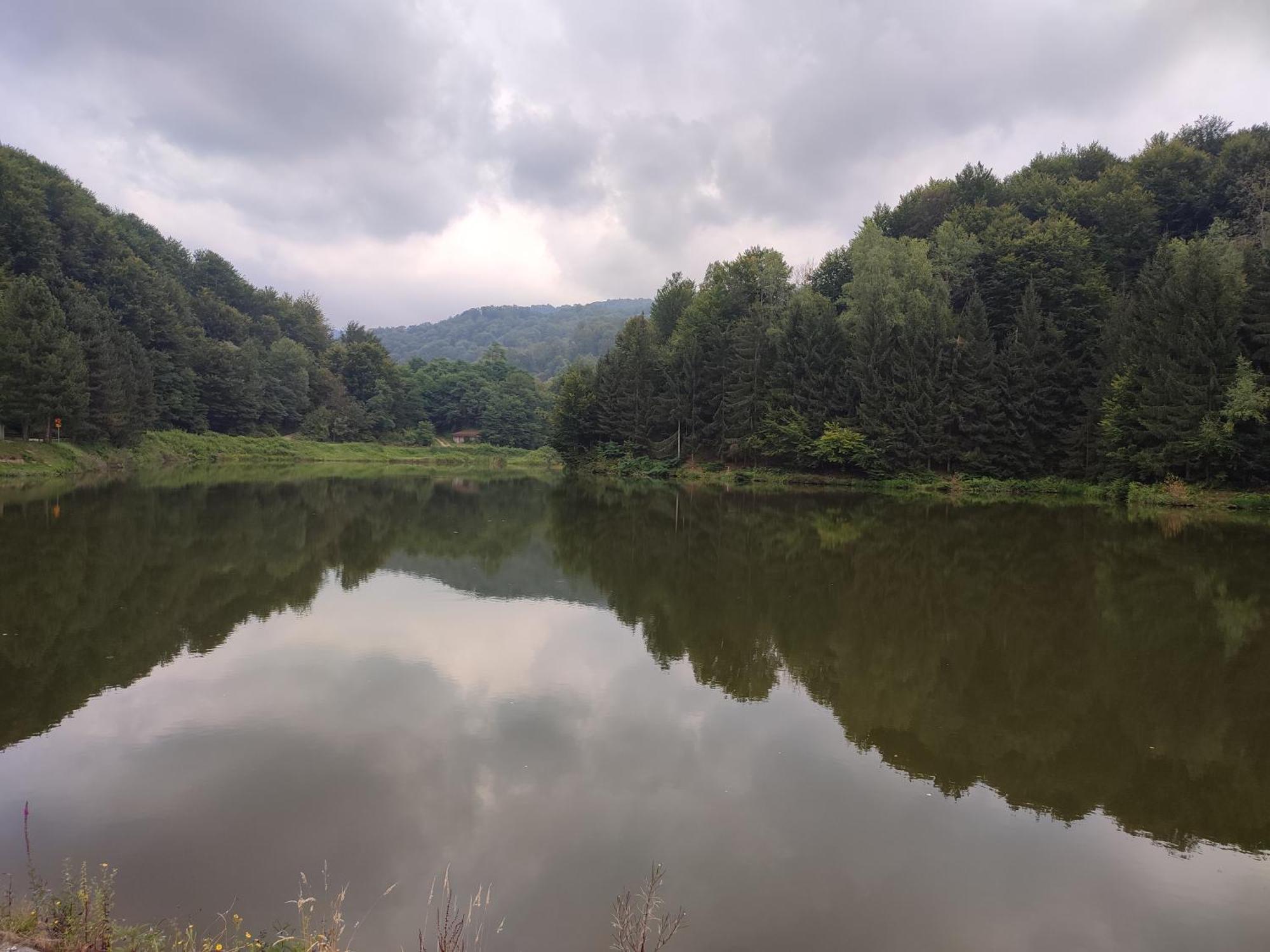 Vila Zora Apartman Banja Koviljača Exteriér fotografie