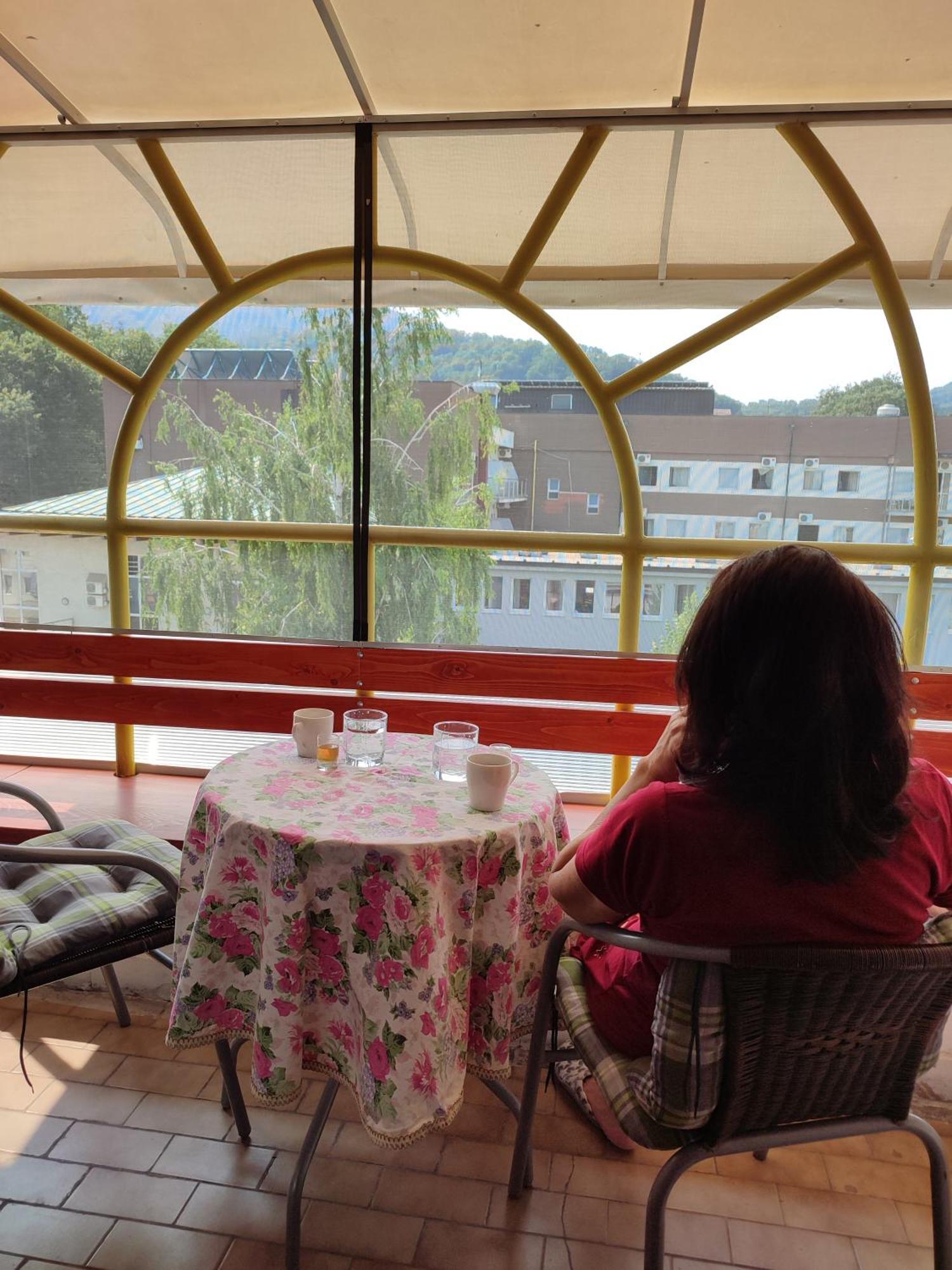 Vila Zora Apartman Banja Koviljača Exteriér fotografie